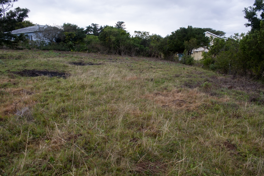 0 Bedroom Property for Sale in Bathurst Eastern Cape